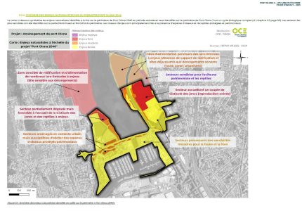 Enjeux naturalistes amenagement port Olonna Les Sables dOlonne OCE